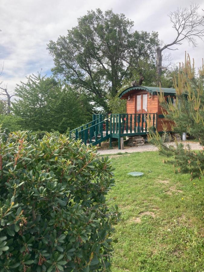 Domaine La Carriere Villa Toulon-sur-Allier ภายนอก รูปภาพ